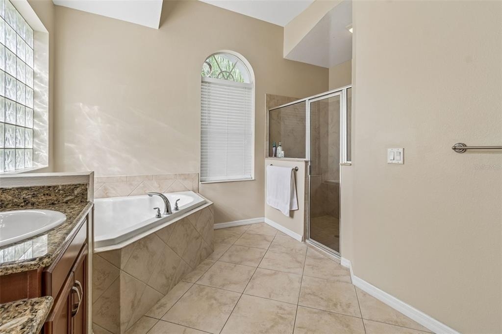 19236 Climbing Aster Drive - Photo 34