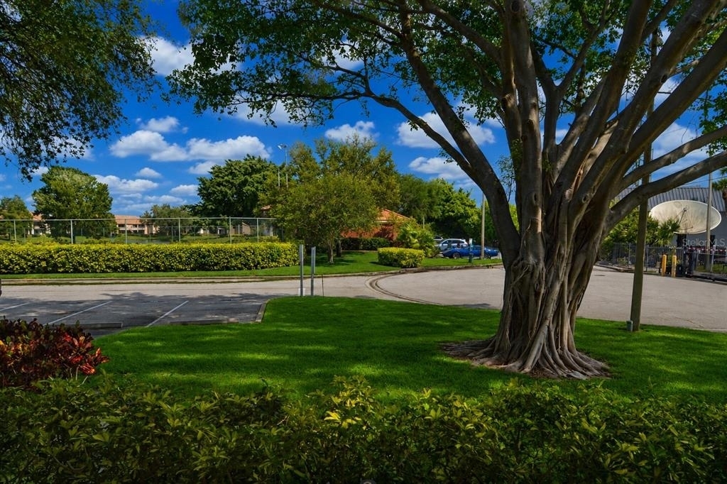 10263 Gandy Boulevard N - Photo 45