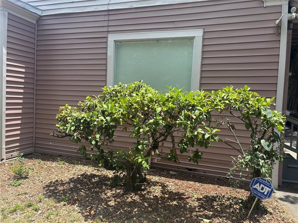 807 E Osborne Avenue - Photo 0
