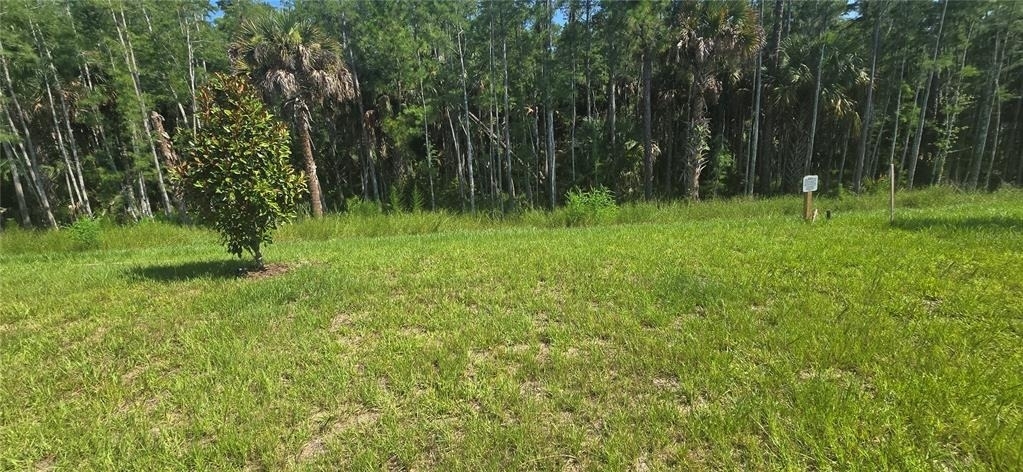 5621 Morant Bay Path - Photo 23