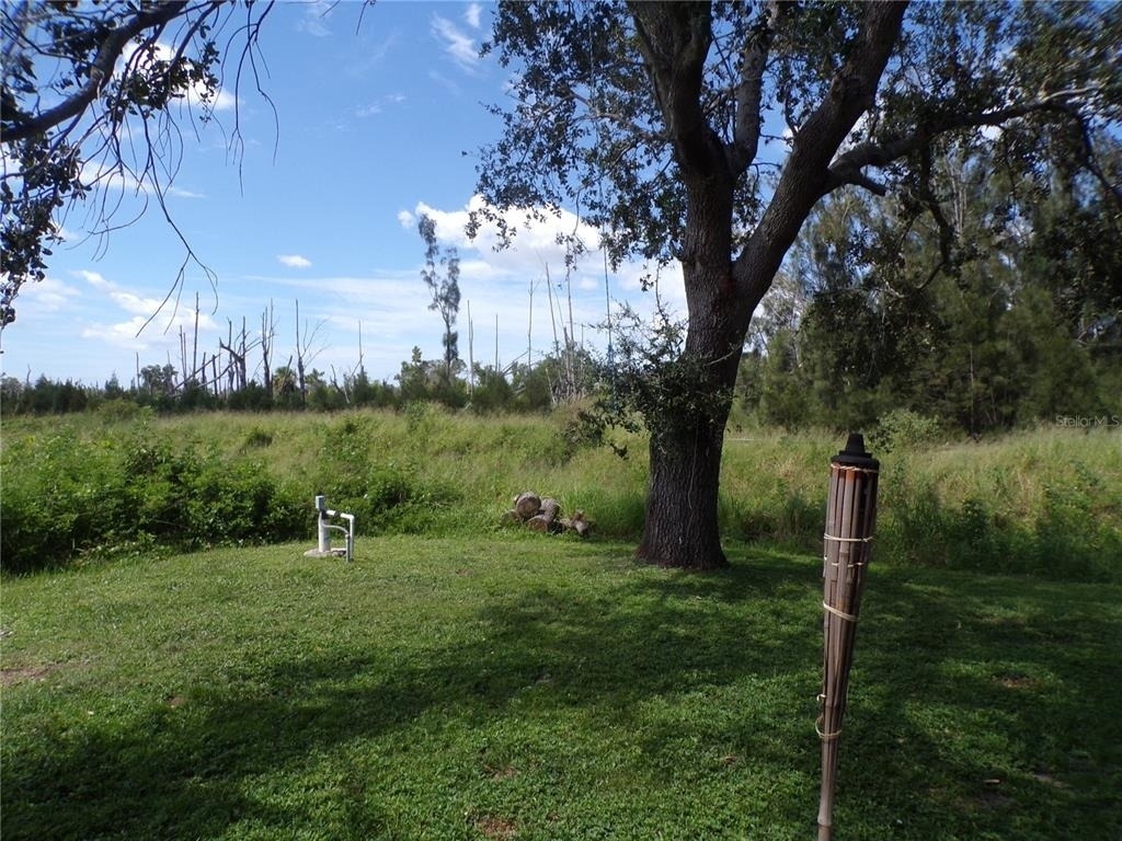 385 Sunflower Street - Photo 23