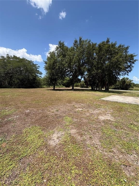 27019 Shanahan Lane - Photo 43