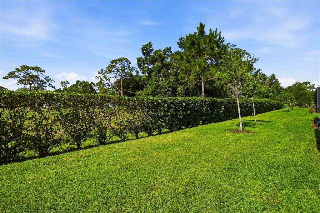 5918 Fiore Drive - Photo 36