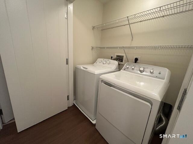 111b Morgan Street - Photo 16