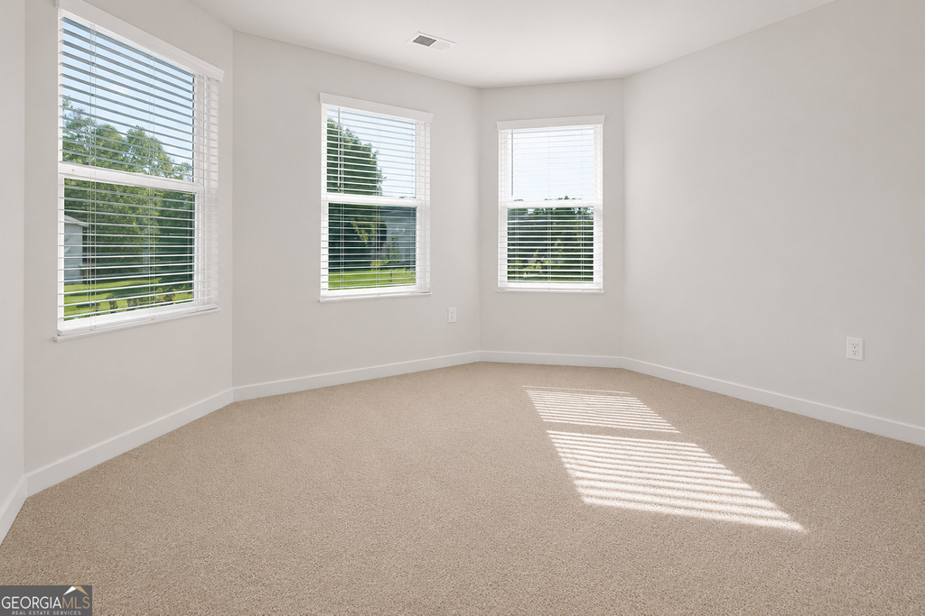 1129 Bluecoat Circle - Photo 1