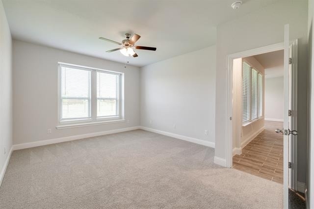 1216 Blanco Trail - Photo 29