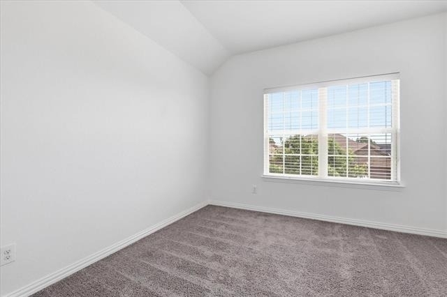 808 Bird Creek Drive - Photo 28