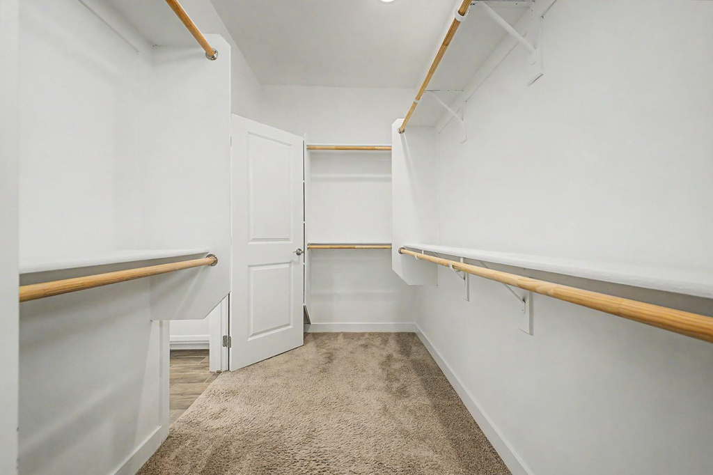 5512 S Dillon -- - Photo 15