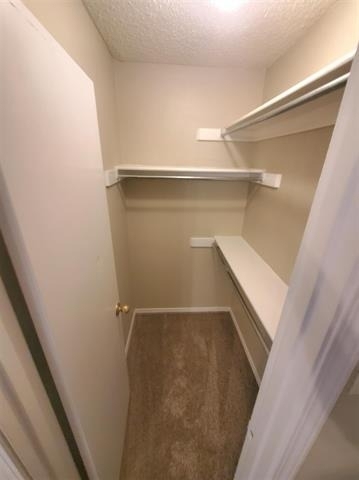 18333 Roehampton Drive - Photo 5