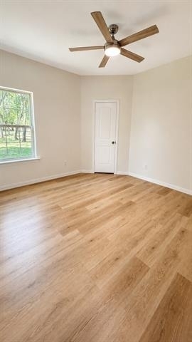 316 Mark Street - Photo 12