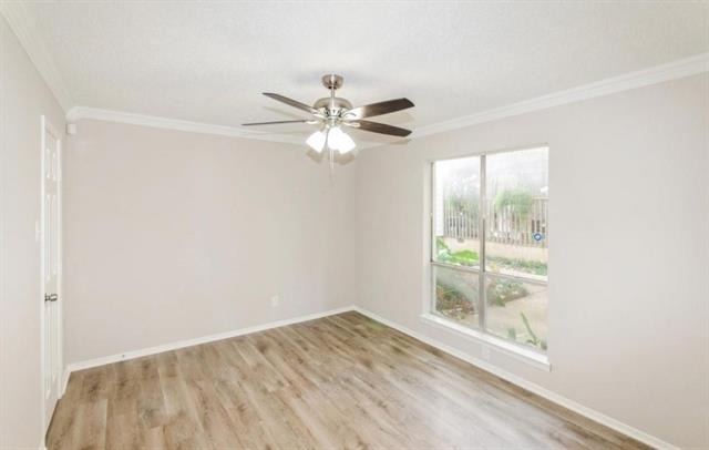 4859 Cedar Springs Road - Photo 3
