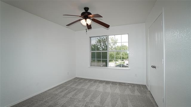 4006 Collin Court - Photo 14