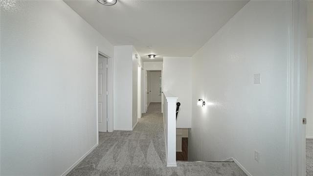 4006 Collin Court - Photo 16
