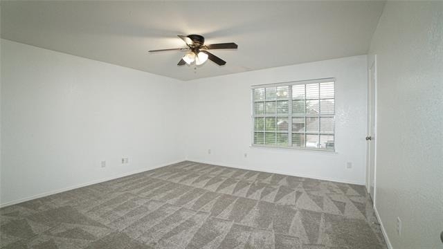 4006 Collin Court - Photo 17
