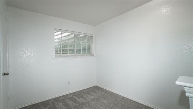 4006 Collin Court - Photo 13