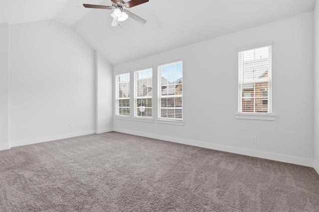 2419 Magalia Lane - Photo 18