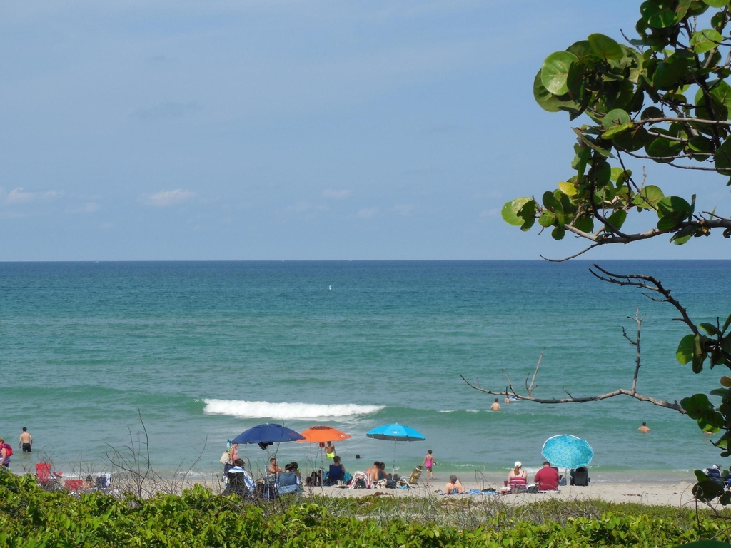 800 Juno Ocean Walk - Photo 36