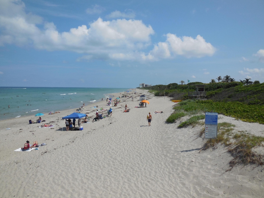 800 Juno Ocean Walk - Photo 33