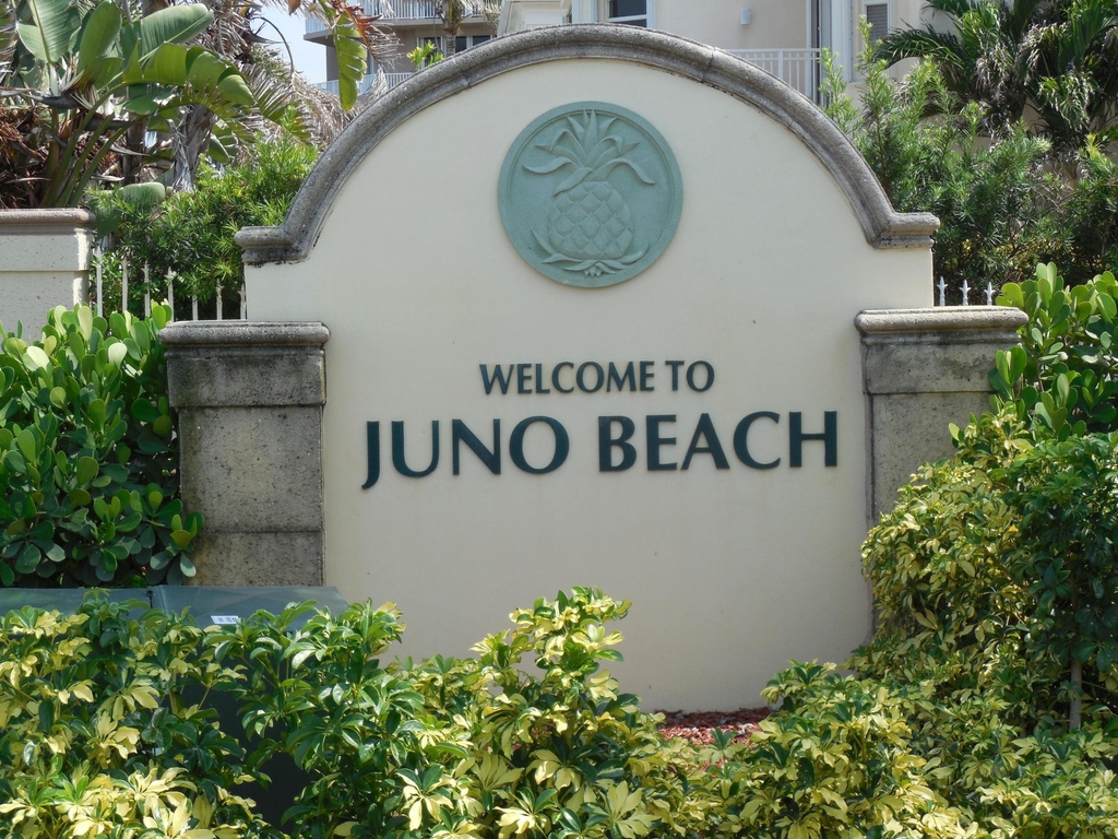 800 Juno Ocean Walk - Photo 31