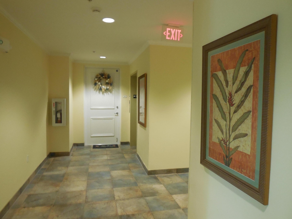 800 Juno Ocean Walk - Photo 3