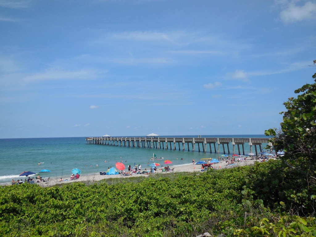 800 Juno Ocean Walk - Photo 38