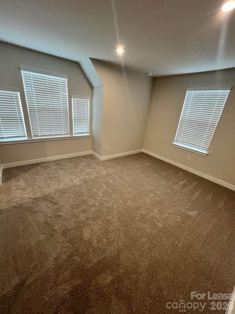 11117 Emerson Landing Drive - Photo 15