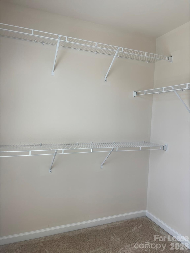 7411 Red Mulberry Way - Photo 17