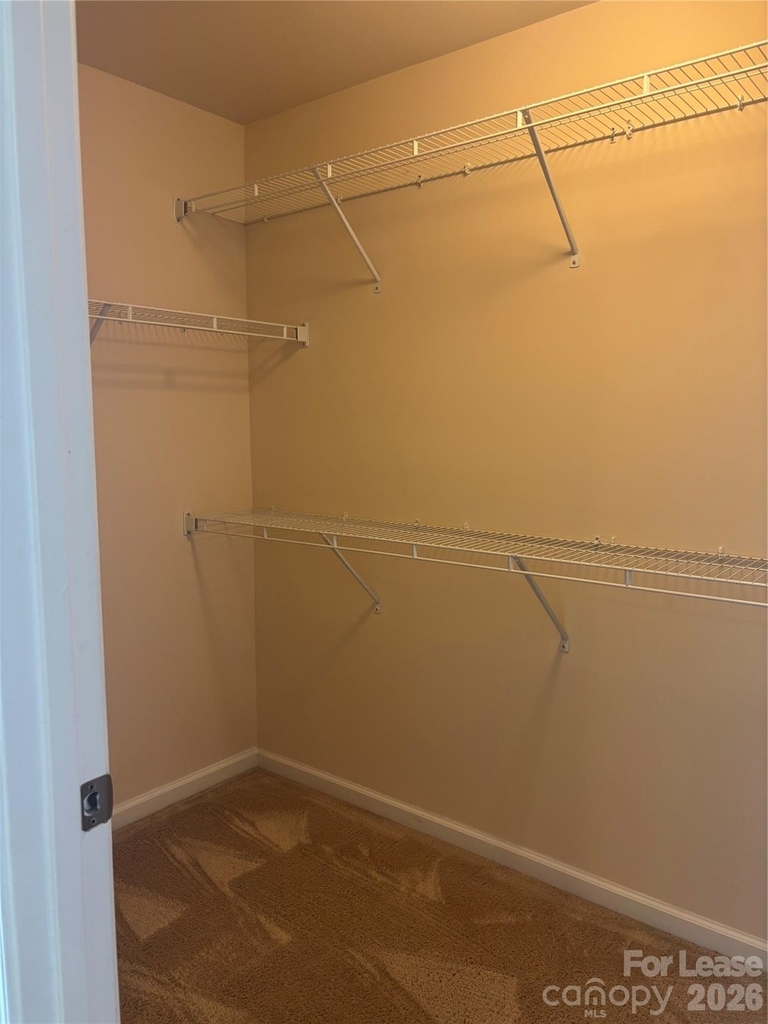 7411 Red Mulberry Way - Photo 23