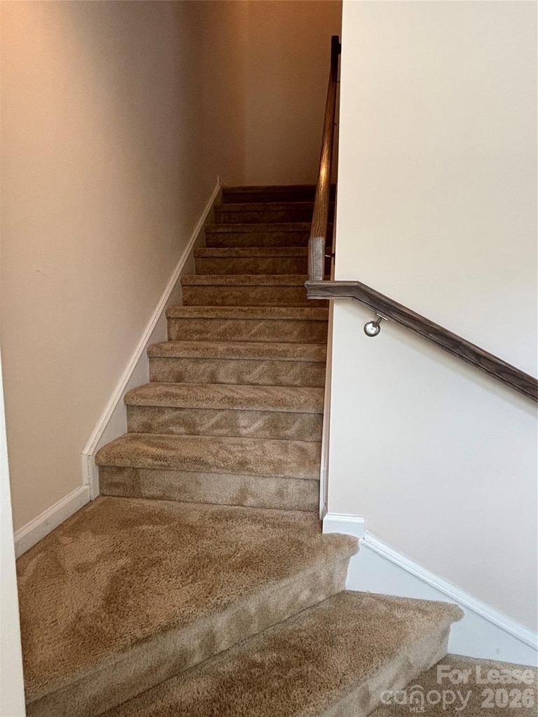7411 Red Mulberry Way - Photo 14
