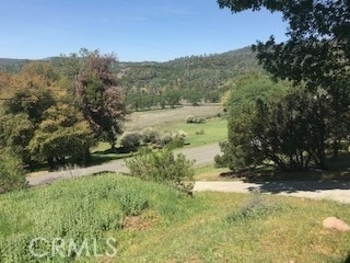 16456 Conestoga Road - Photo 1