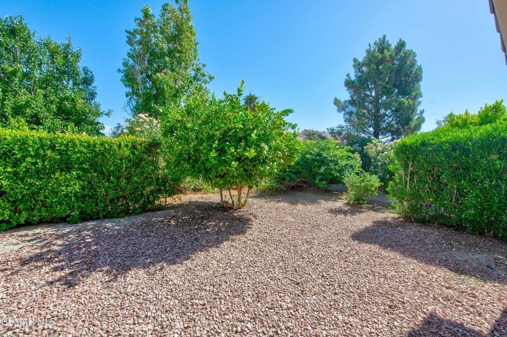 78282 Yucca Blossom Drive - Photo 12