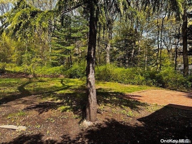 196 Deforest Road - Photo 15
