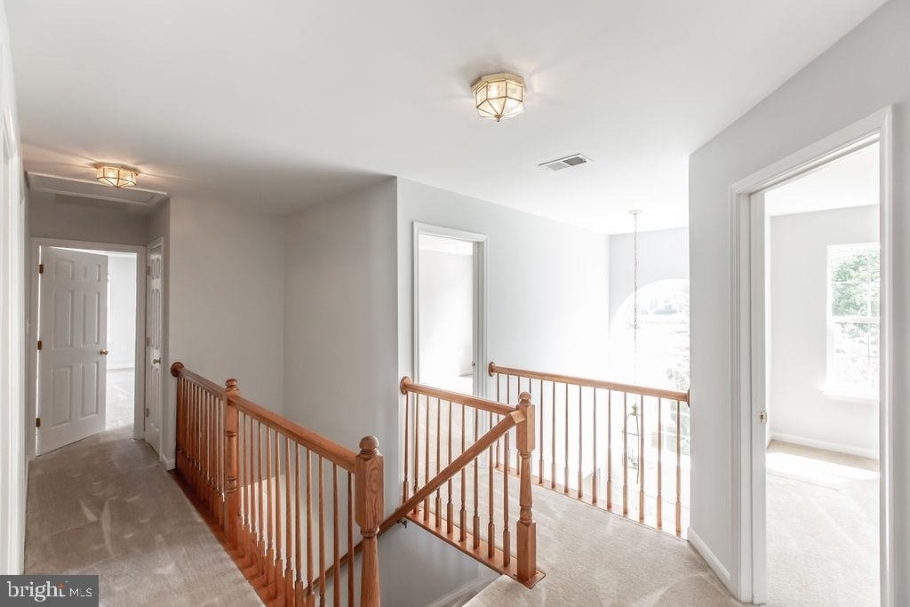 12075 Serenity Place - Photo 20