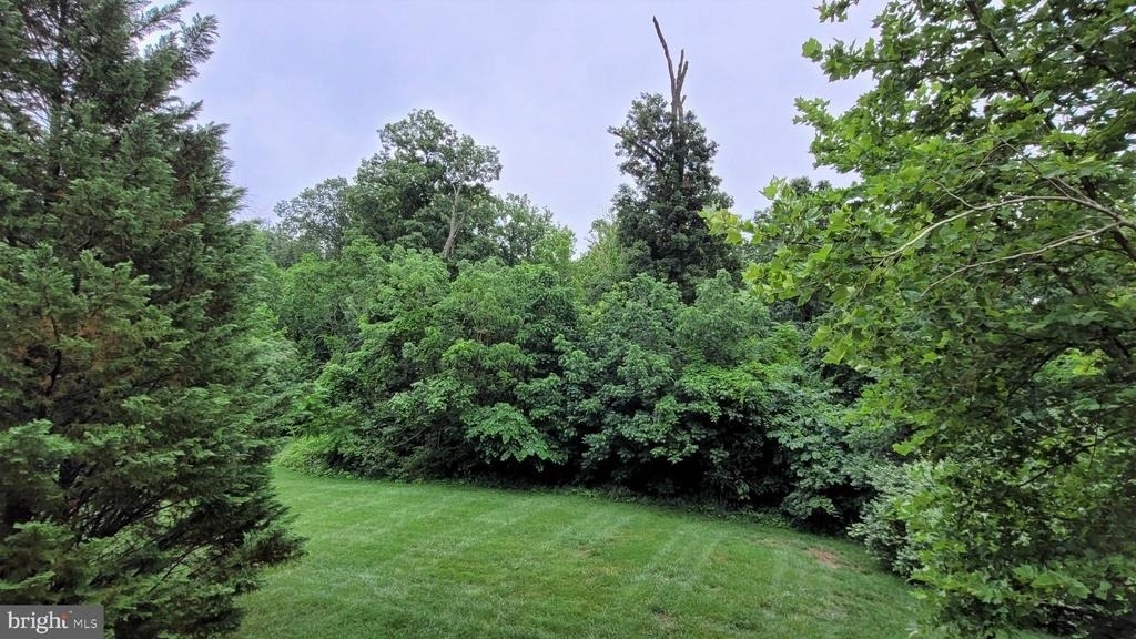 5344 Blue Aster Circle - Photo 40