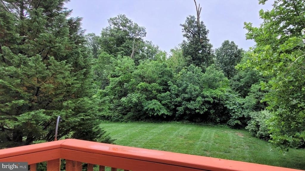 5344 Blue Aster Circle - Photo 39