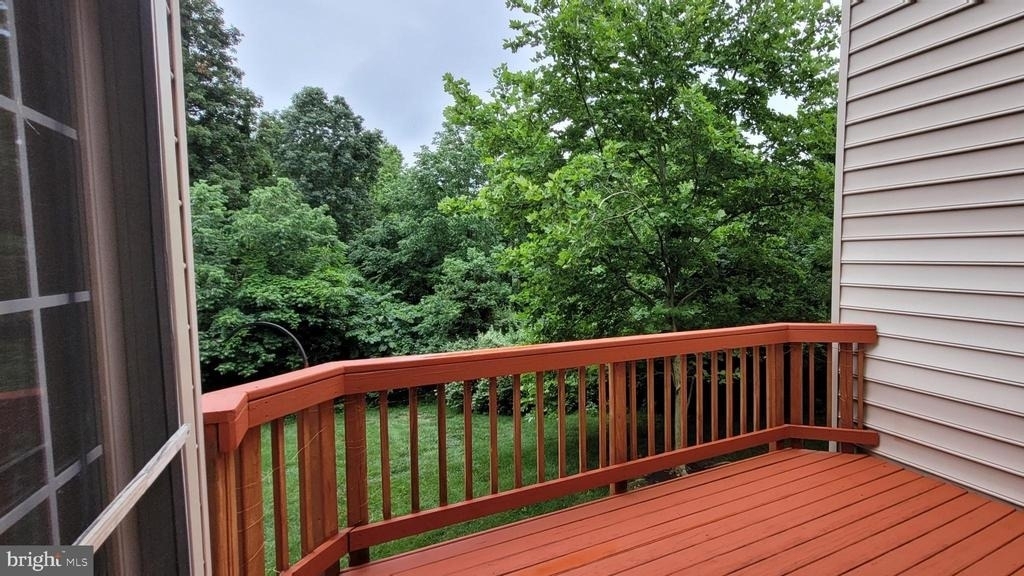 5344 Blue Aster Circle - Photo 37