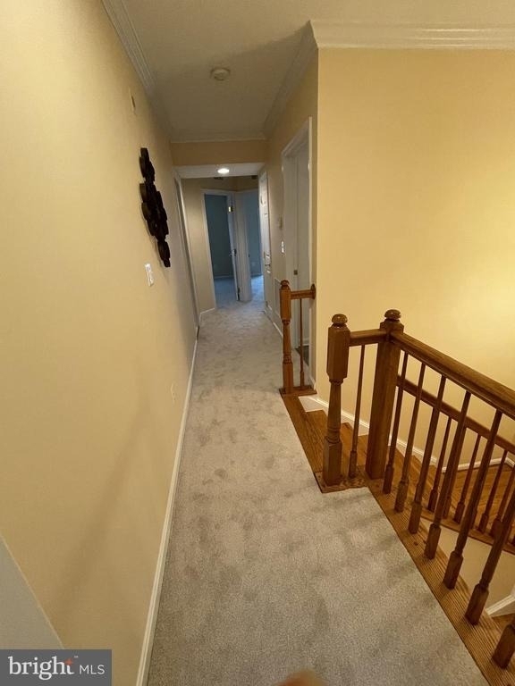 4701 Eggleston Terrace - Photo 7