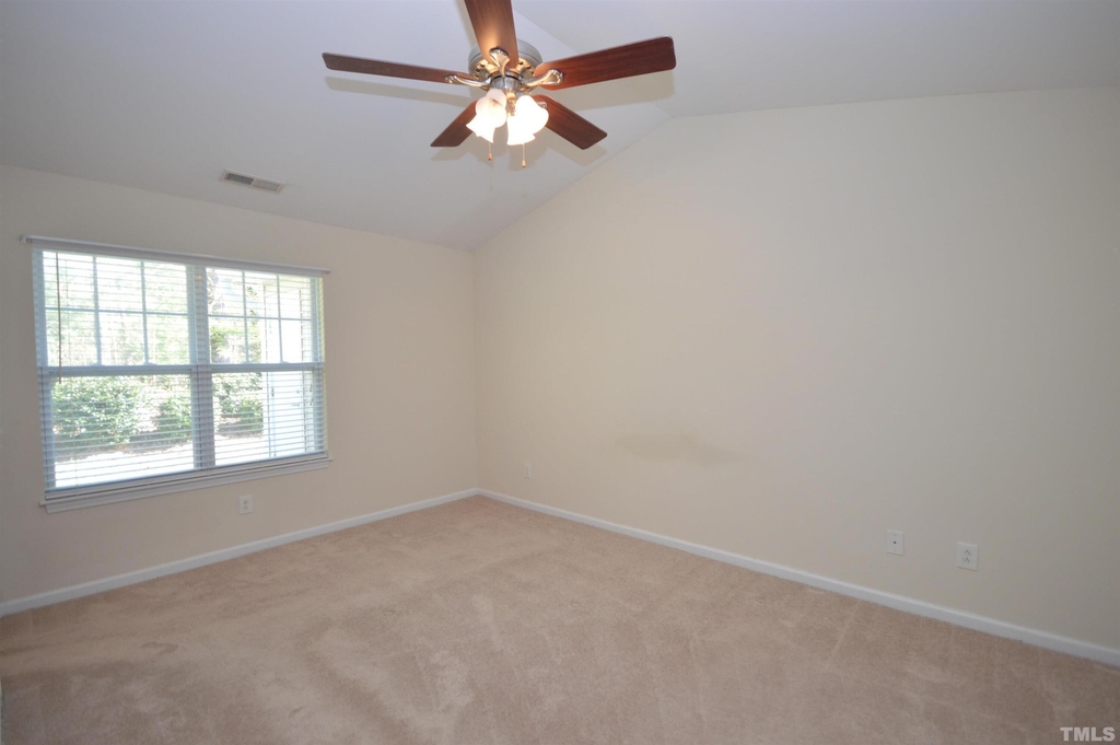 3615 Bison Hill Lane - Photo 16