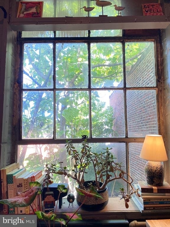 14 W Harvey Street - Photo 4