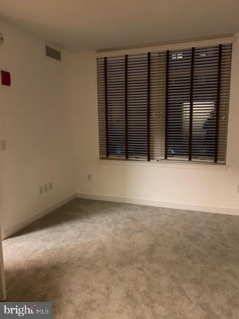 155 Potomac Passage - Photo 22