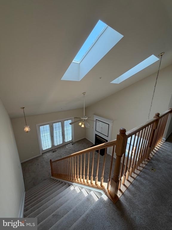 3906 Elan Court - Photo 2