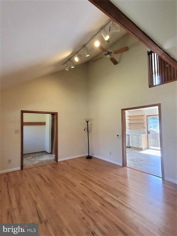 11717 King Tree Street - Photo 8