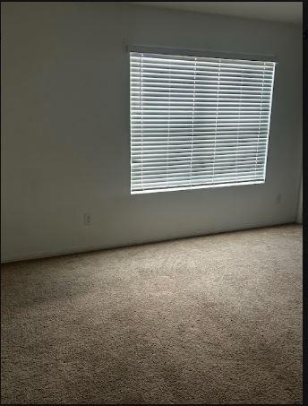 117 Hondo Gap Ln - Photo 5