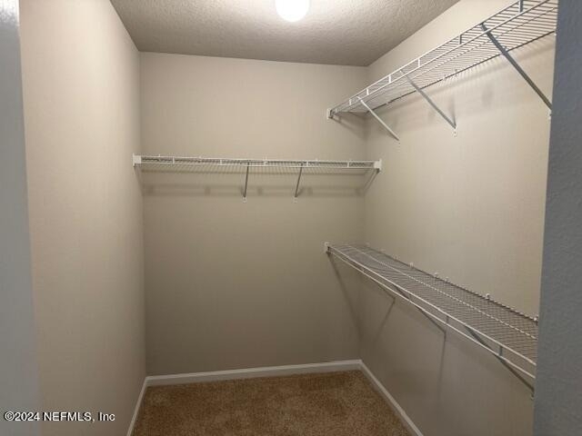 7816 Island Fox Road - Photo 6