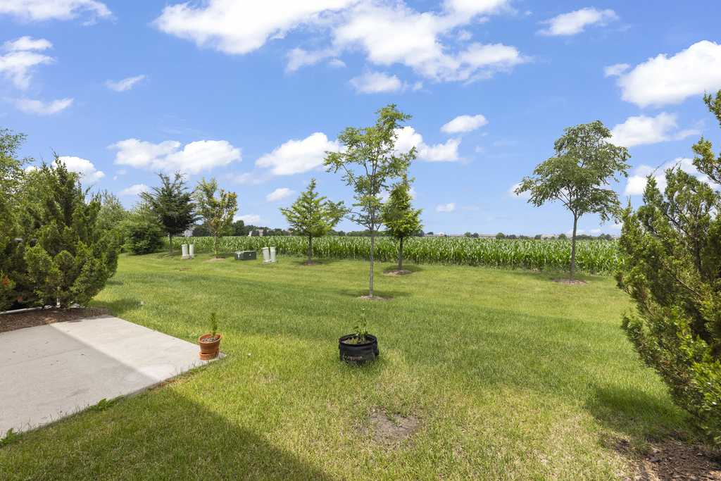 4200 Calder Lane - Photo 4