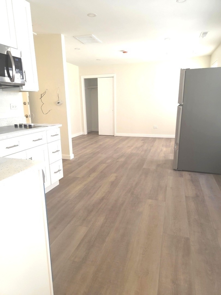 607 N Wells Street - Photo 3