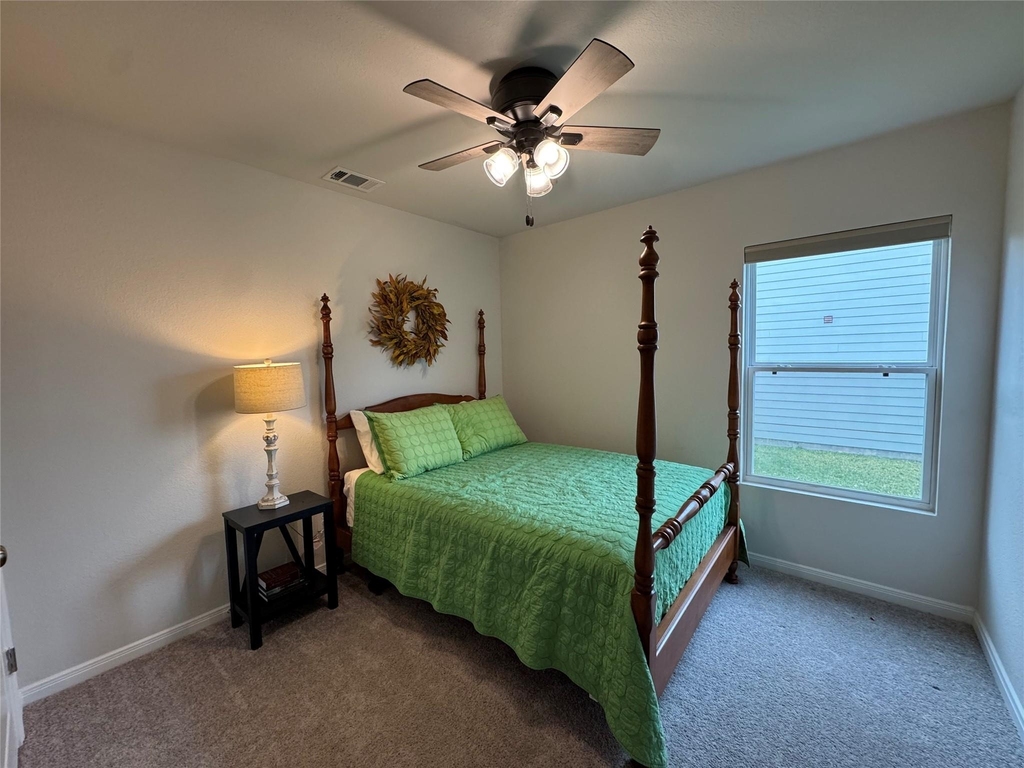 14132 Harlequin Drive - Photo 11