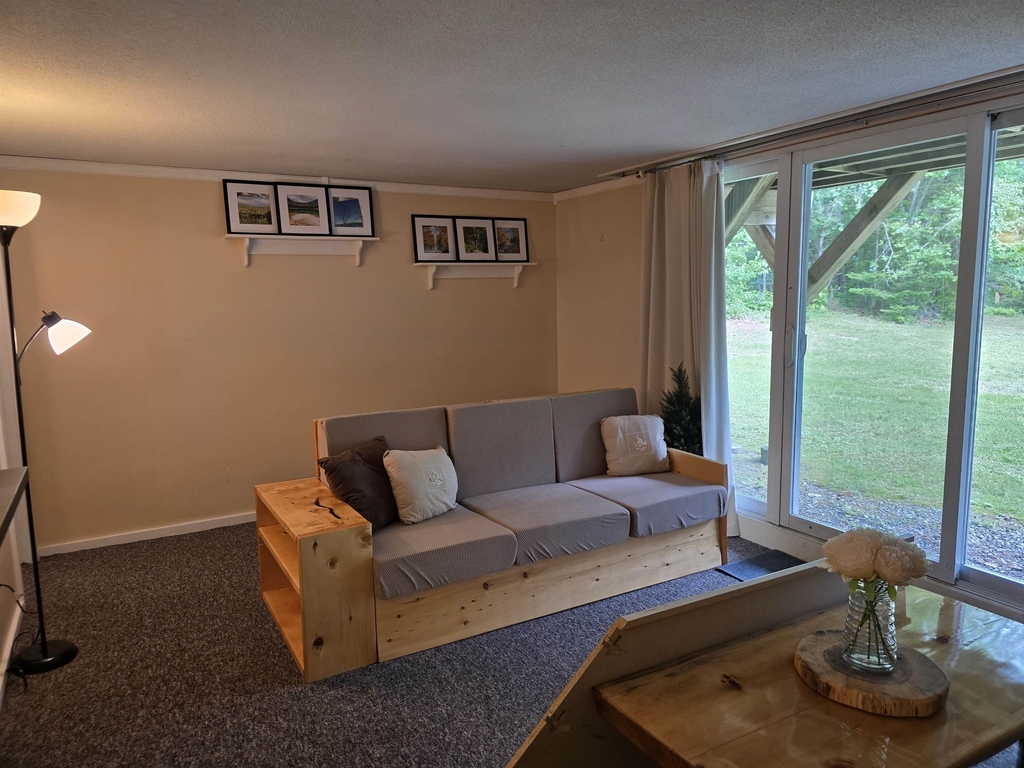869 Upper Mad River - Photo 1