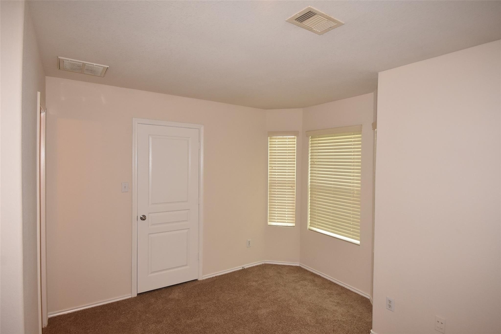 16807 Mammoth Springs Dr - Photo 19