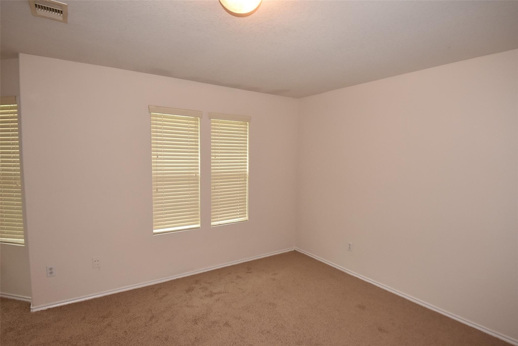 16807 Mammoth Springs Dr - Photo 13